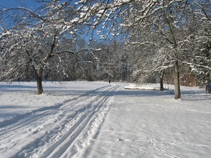 Langlaufspur bei Oberrot