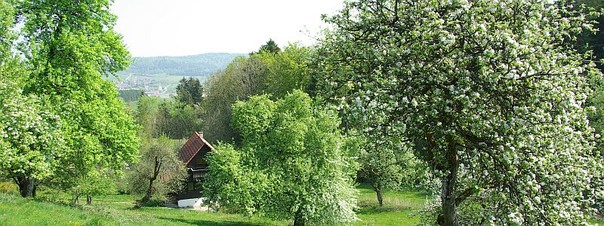 Die Landschaft rund um Oberrot lädt zum Wandern und Verweilen ein