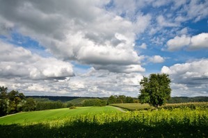 Naturgenuss beim Wandern