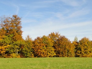 Herbstlandschaft bei Oberrot