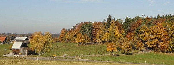 Herbstwald bei Frankenberg