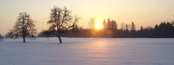 Winterlandschaft bei Oberrot