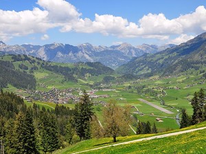 Zweisimmen im Sommer