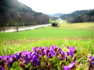 Für eine saubere Umwelt